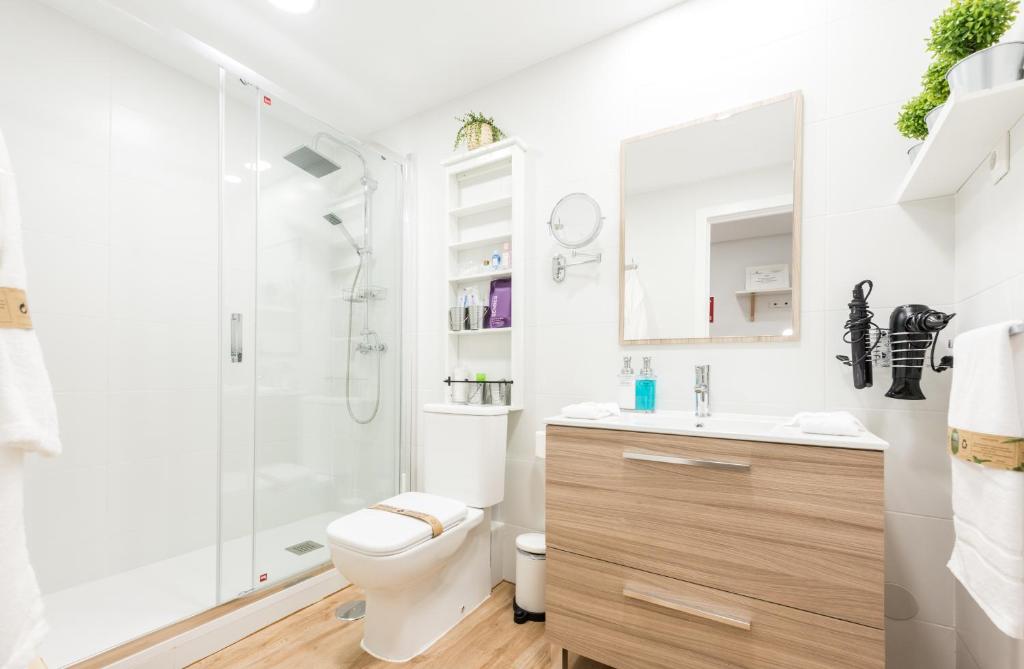 Apartment Sol Gran Vía的一间浴室