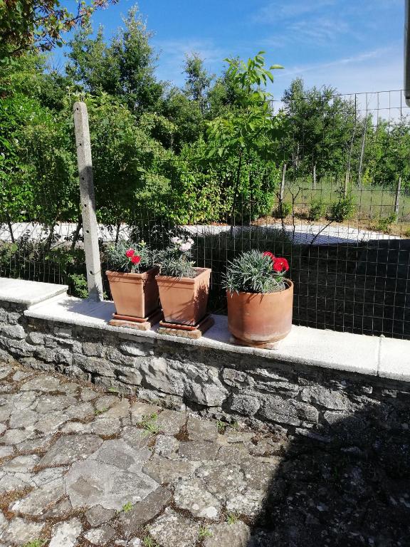 Vonkajšia záhrada v ubytovaní Bed and Breakfast "POGGIO MARANO"