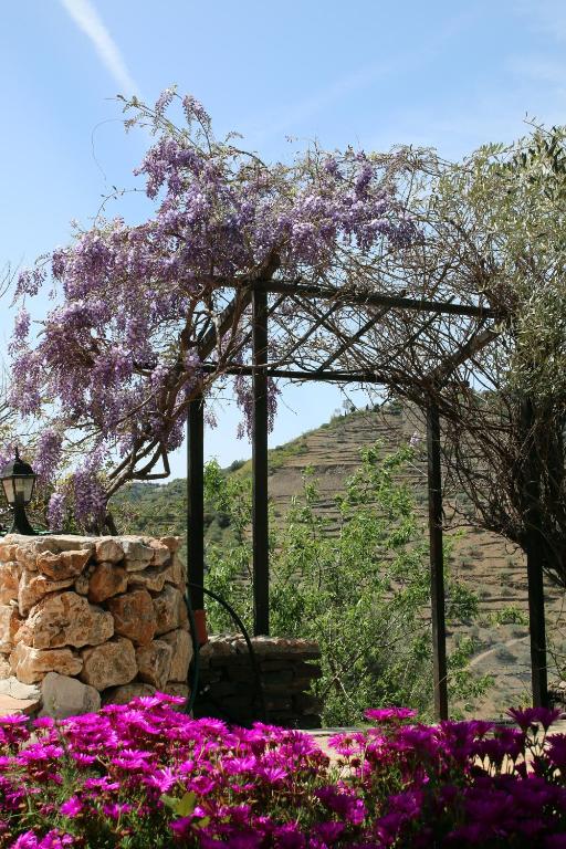 A garden outside Finca el Regalo