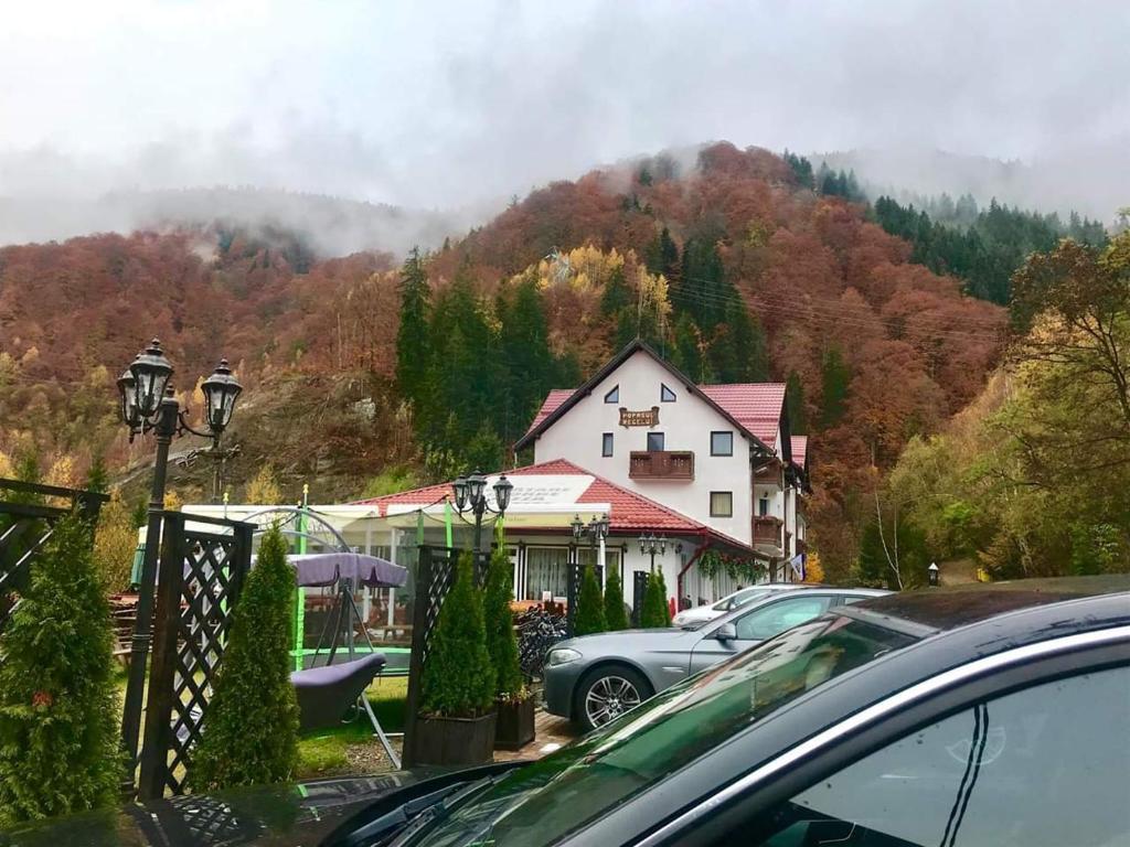 Příroda nedaleko hotelu