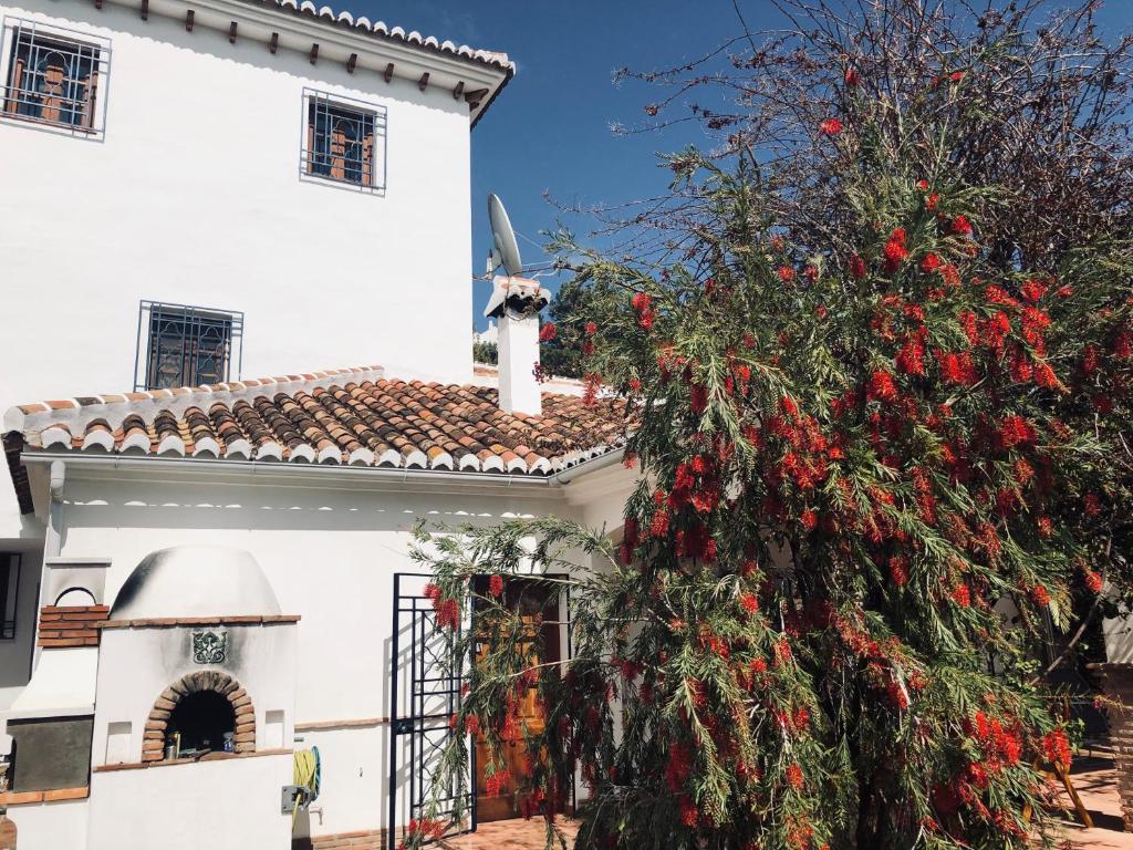 The building in which the holiday home is located