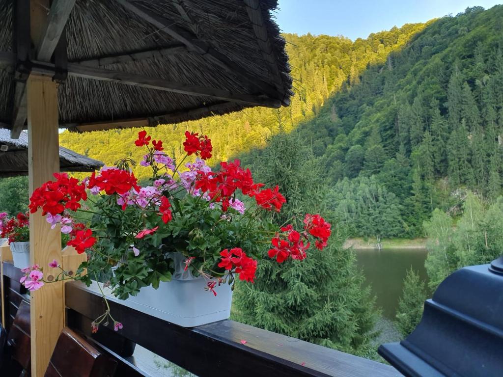 Příroda nedaleko hotelu