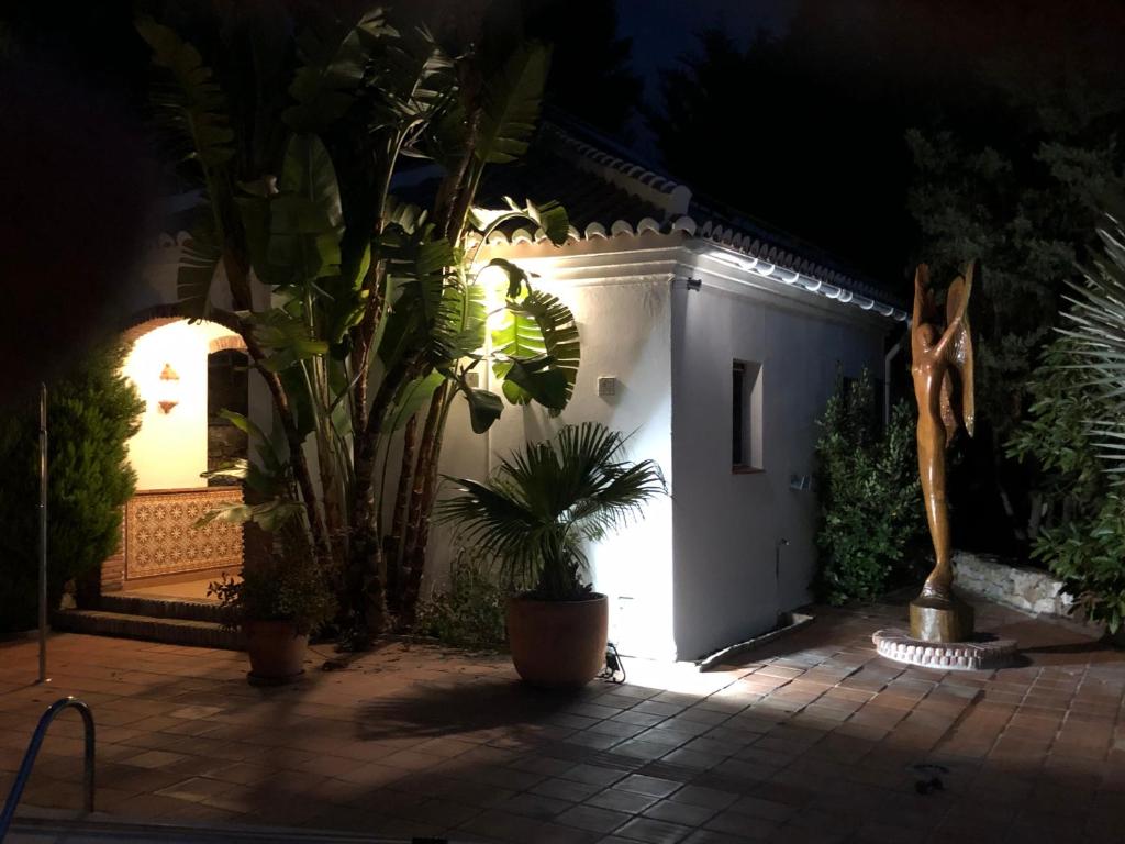 A garden outside Finca el Regalo