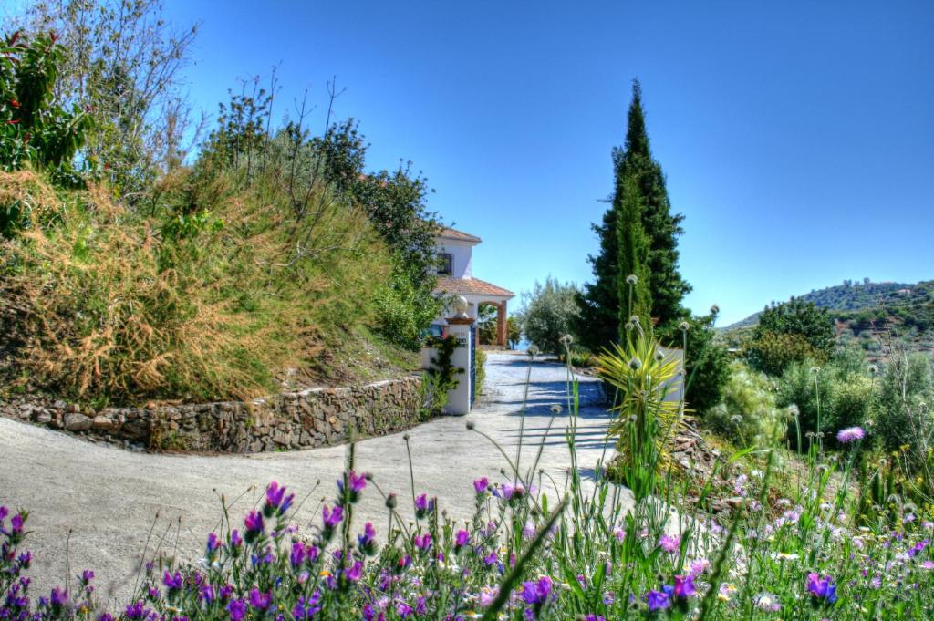 Táj Show holiday homes közelében
