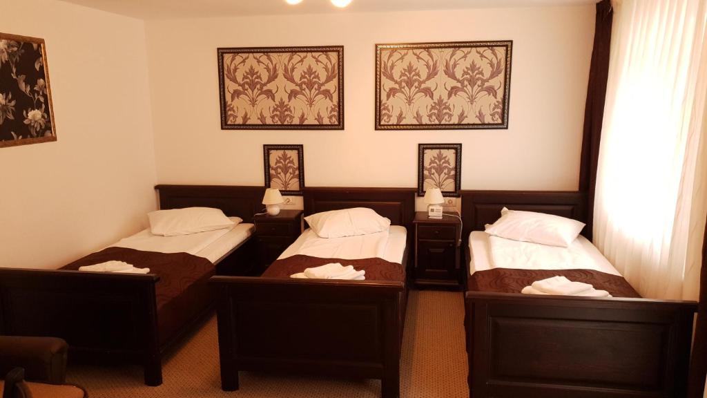 Postel nebo postele na pokoji v ubytování Hotel Popasul Regelui Transalpina