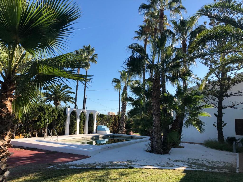 Fotografia z galérie ubytovania Villa Sofia - Benicassim REF 006 v destinácii Benicàssim