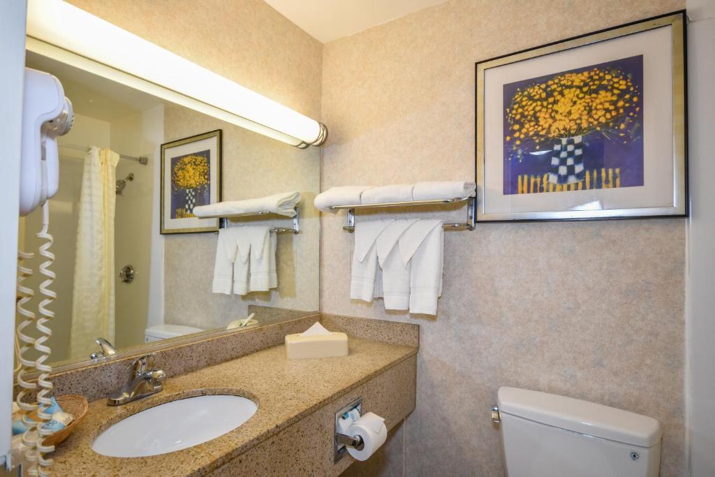 Charles River Inn - Queen Room