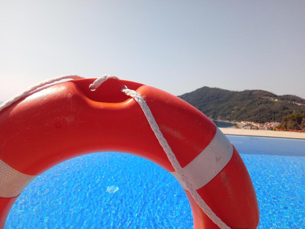 Basen w obiekcie Appartamento Taggiasca con piscina - Riva Trigoso lub w pobliżu