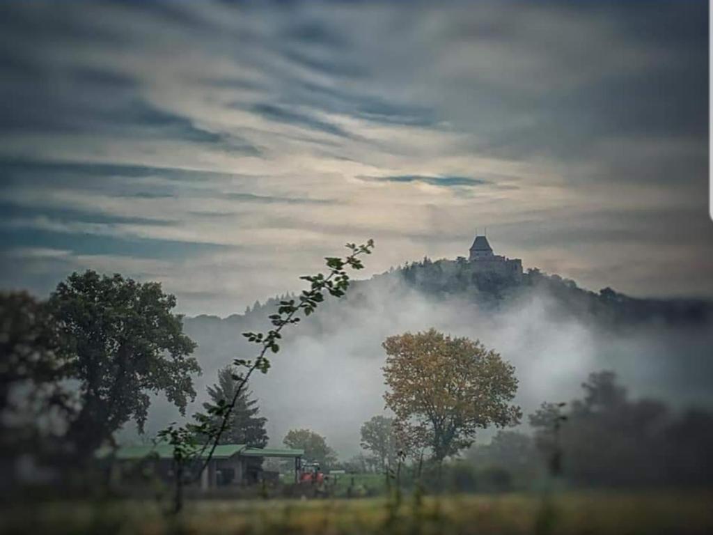 um campo nevoeiro com um castelo numa colina à distância em Abu-Ferienwohnung em Nideggen