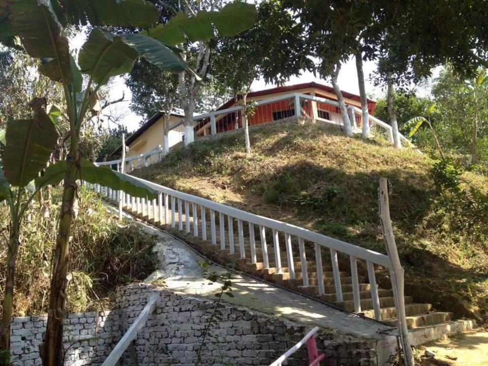 Jungle cottage - Bungalow Per Famiglie