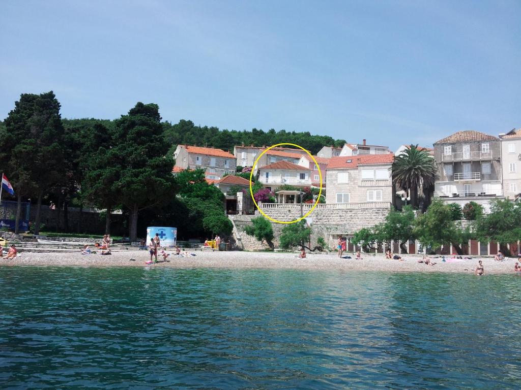 a view of a beach with a roller coaster at Apartments Mir - perfect location & cosy in Korčula
