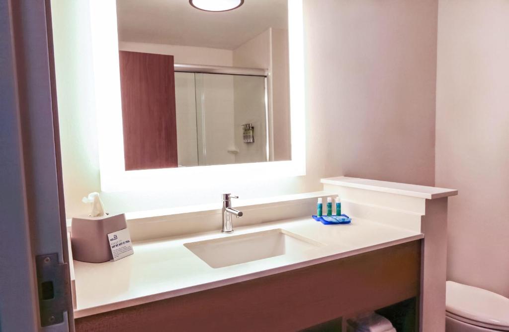 Holiday Inn Express & Suites - Houston IAH - Beltway 8, an IHG Hotel - Standaard King Room