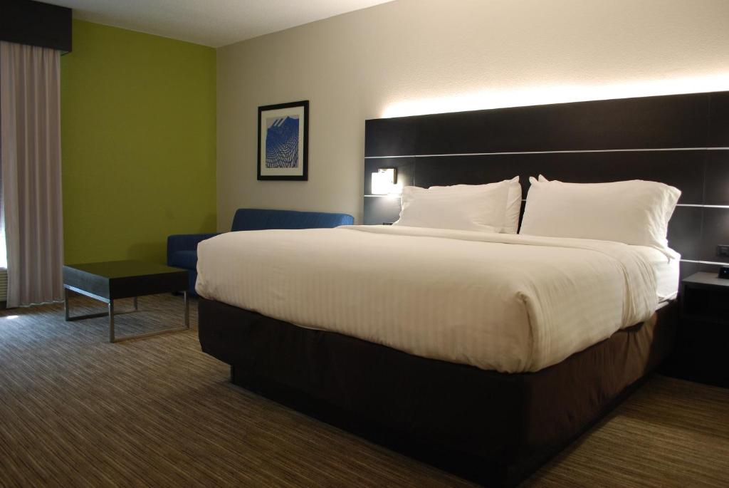 Holiday Inn Express Hotel & Suites Kingsport-Meadowview I-26 by IHG - Habitación Estándar King