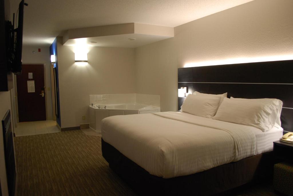 Holiday Inn Express Hotel & Suites Kingsport-Meadowview I-26 by IHG - Standaard King Kamer Met Slaapbank