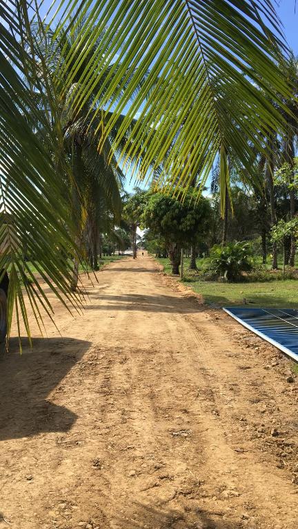  Alma Tropical Resort
