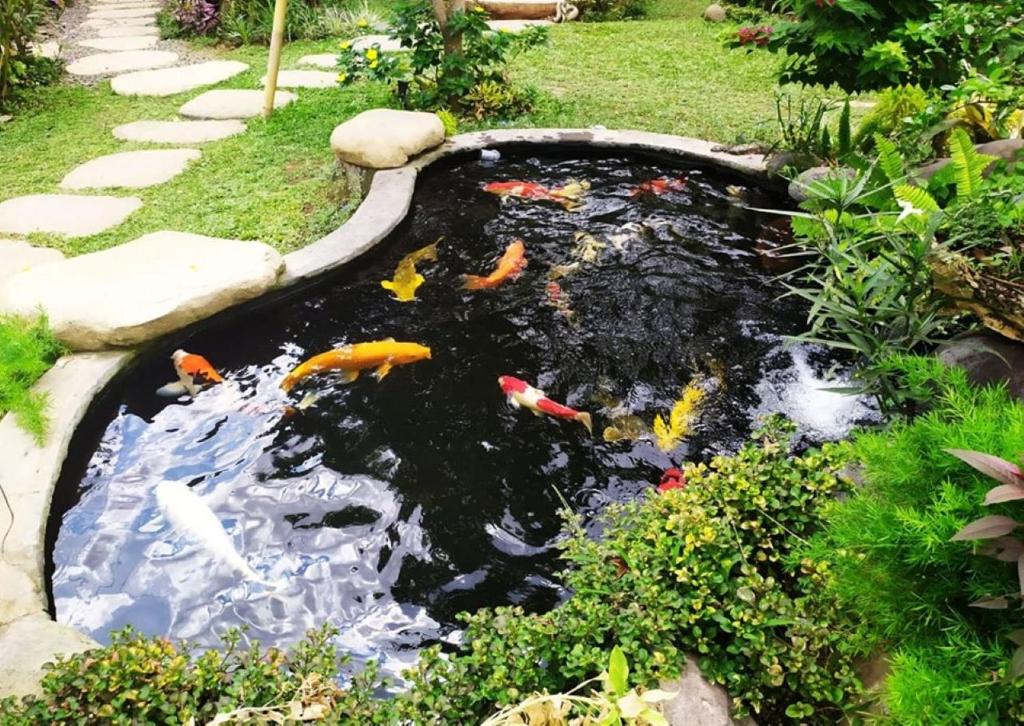 Zahrada ubytování BatanTop Ubud guest house