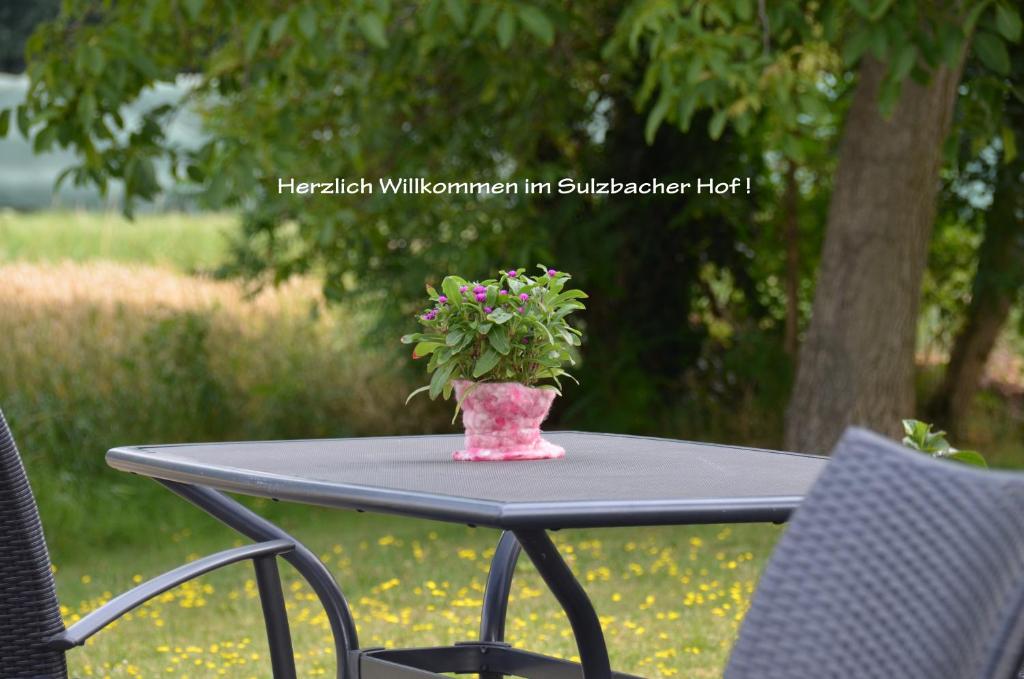 Landhotel Sulzbacher Hof - Resim 37