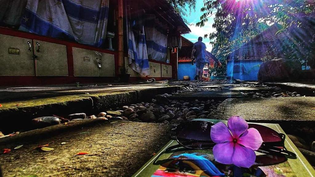 Foto dalla galleria di Mapping Hostel a Chiang Mai