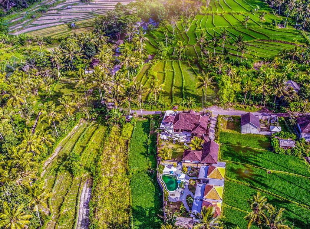 Dana Bali Ricefield Villa - 12