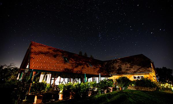 Zahrada ubytování Weingut Albert, Familie Cramer