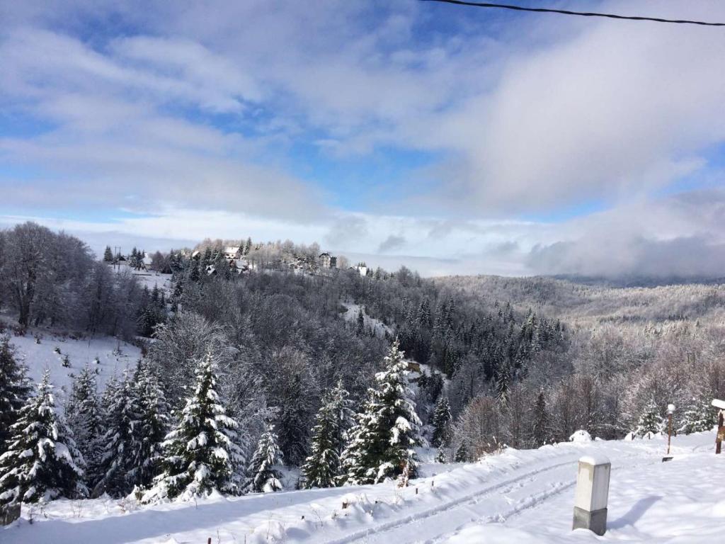 Vila Čajetinski biser fotografija 14