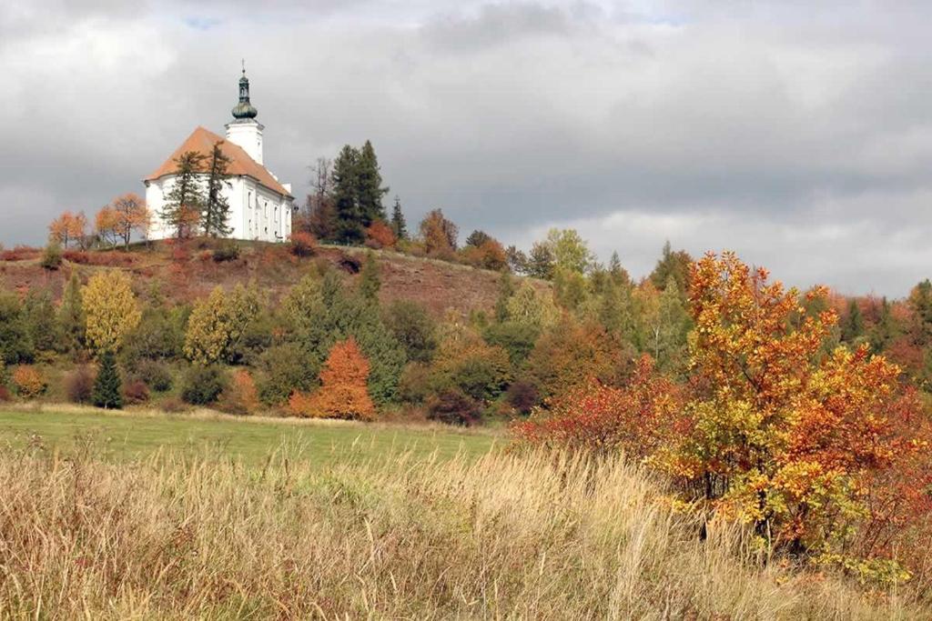 Příroda nedaleko hotelu