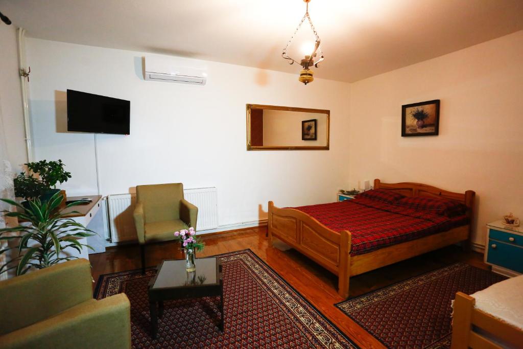 sala de estar con cama y sofá en Apartman Carpe Diem, en Zajecar