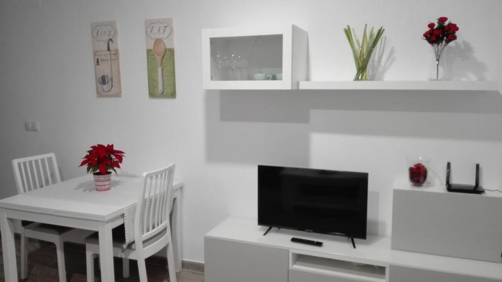 A television and/or entertainment centre at Apartamento Centro Sol Plazuela