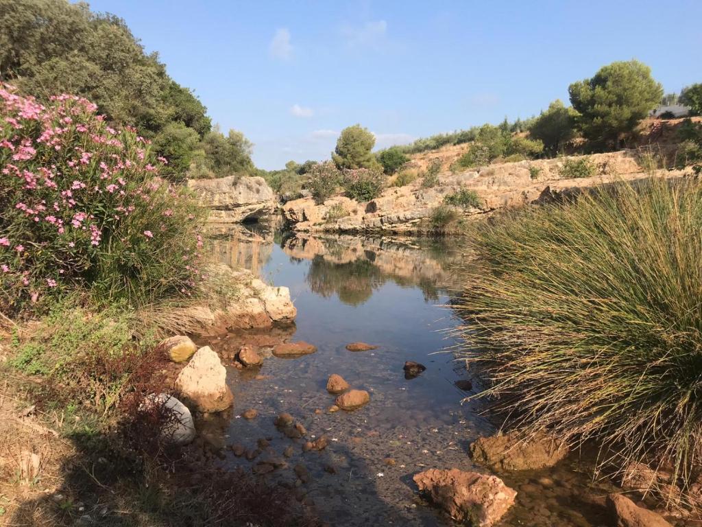 Paisaje cerca de este apartamento