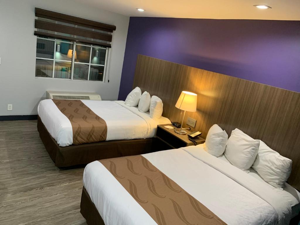 Quality Inn Near Hollywood Walk of Fame - 标准房间，2张双人床，非吸烟