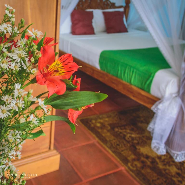 Sirène Galle Fort - 8