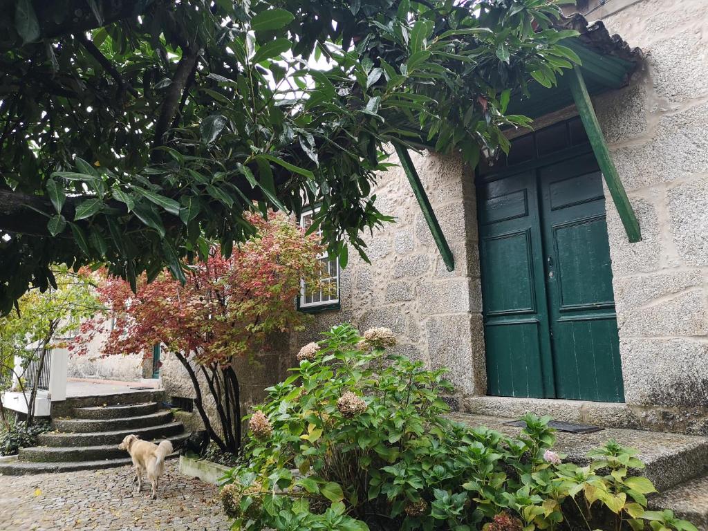 a dog standing in front of a building with a green door at Refúgio de Calheiros in Covilhã