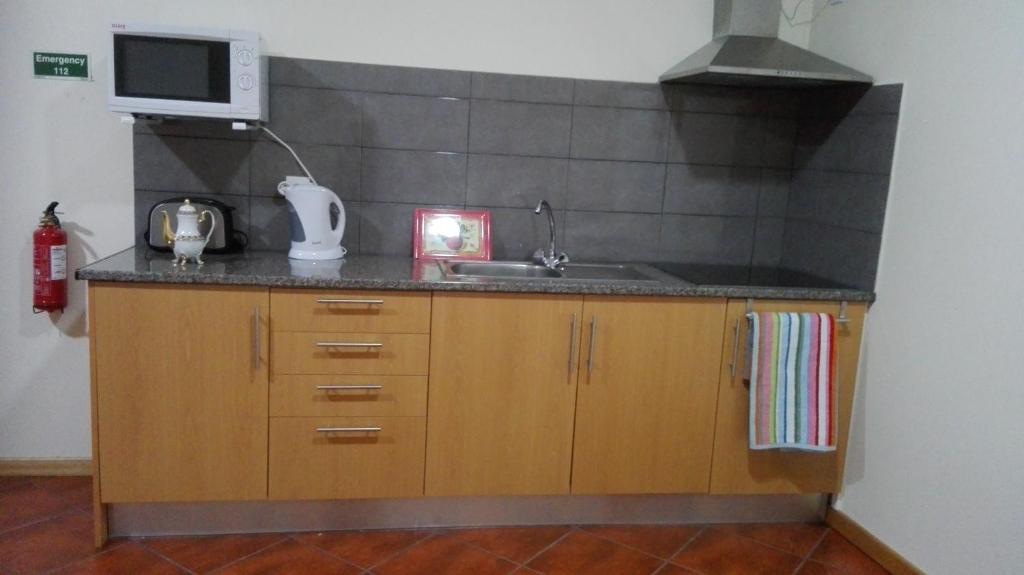 Kuchyň nebo kuchyňský kout v ubytování Lindo Apartamento Villa