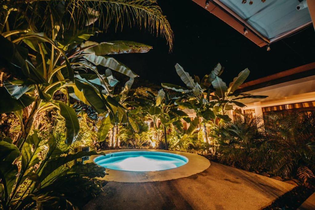 una pequeña piscina en un jardín con plantas en Good Life Lodge, en Sámara