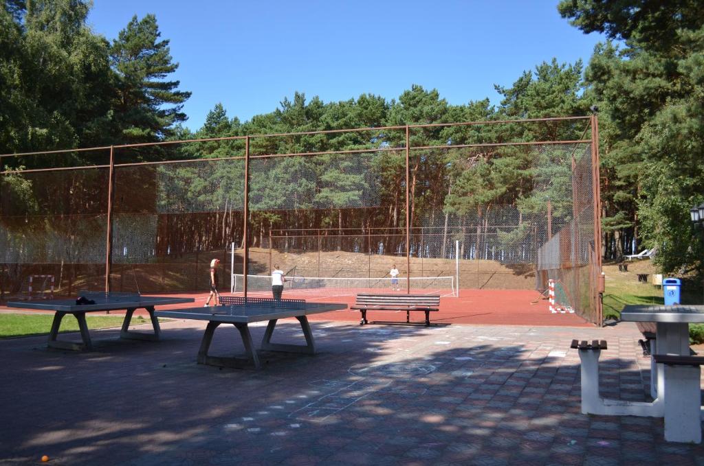 Tenis a/nebo squash v ubytování Ośrodek Wypoczynku i Rekreacji Venus nebo okolí