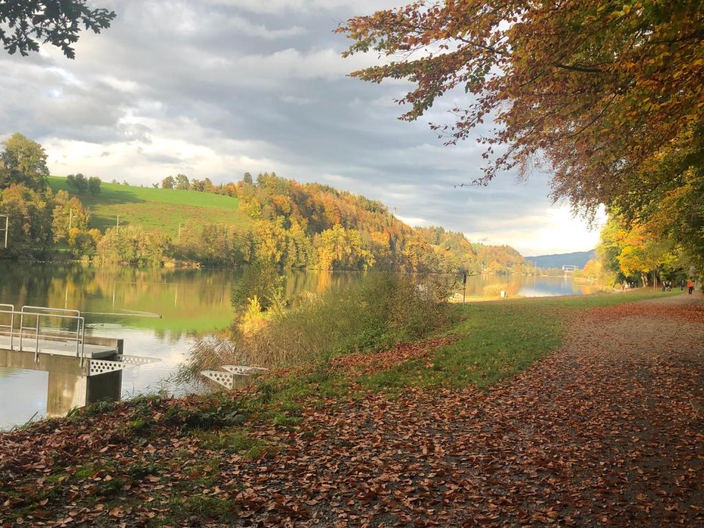 ルツェルンにあるCharming Studio near Rotsee Lucerne Kitchen/WiFi/Wasching machineの橋のある湖畔の小道