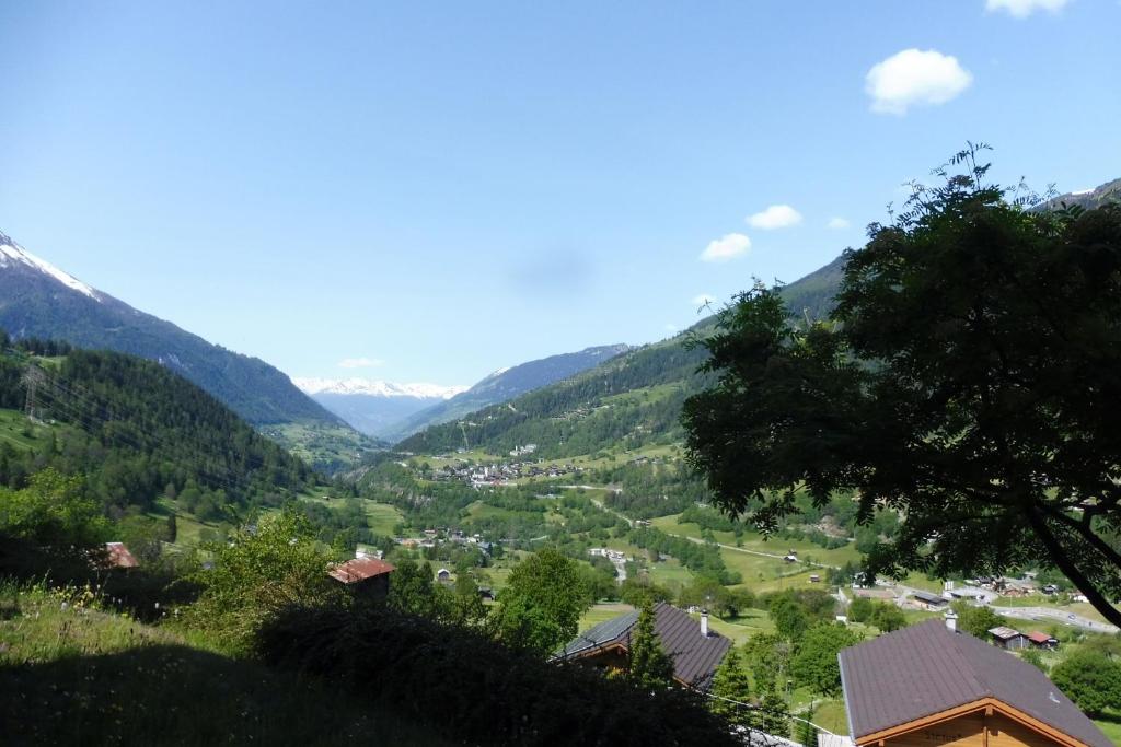 Příroda nedaleko apartmánu