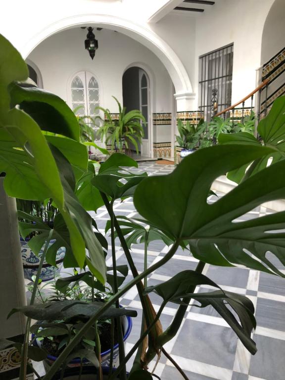 Zdjęcie z galerii obiektu Lujosa suite privada en casa del S XIX w mieście Sanlúcar de Barrameda