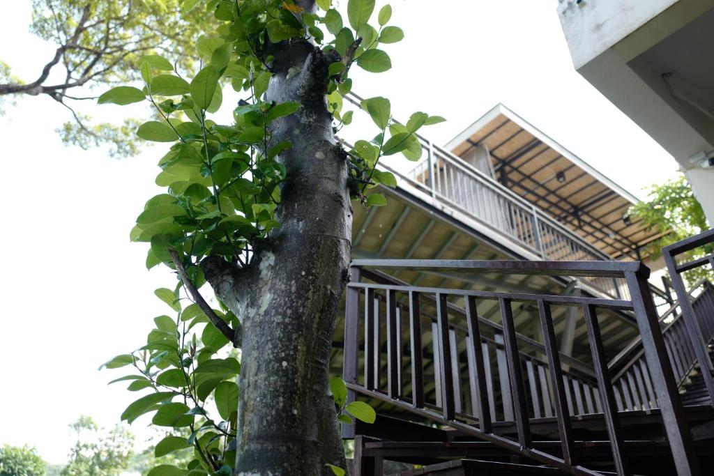 Fotografie z fotogalerie ubytování Sunset Bay View Phuket v destinaci Pláž Patong