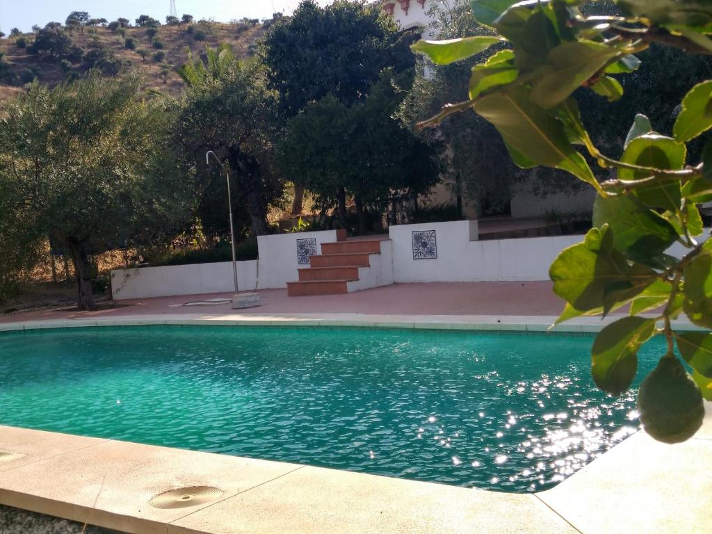 una piscina en un patio con árboles y escaleras en El olivar de Concha, Caminito del Rey, en Álora