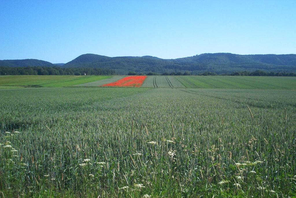 Příroda nedaleko prázdninového domu