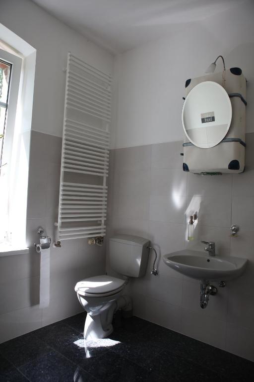a bathroom with a toilet and a sink and a mirror at alojamento espaçoso na galeria in Woserow