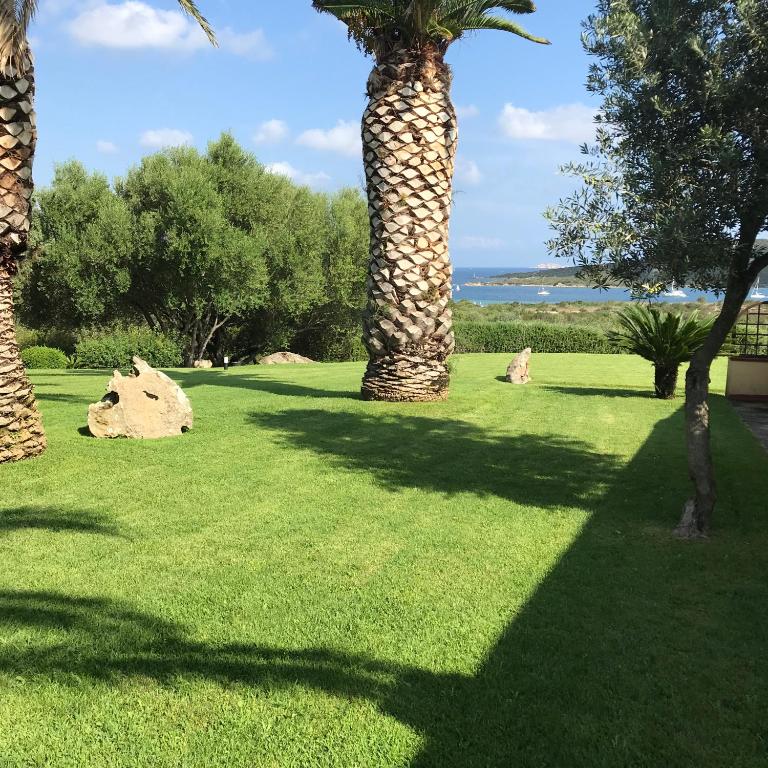 SeaView Apartments 80, Palau (updated prices 2024)