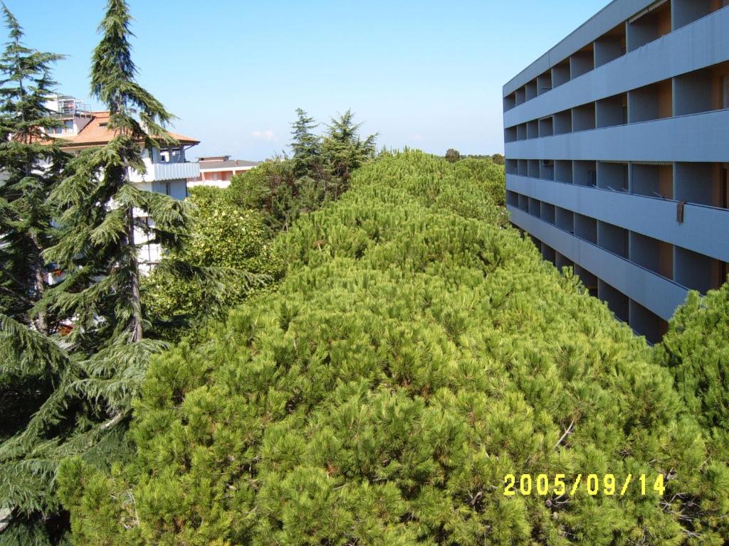 Сад в Hotel Gran Venere Beach 3 Superior