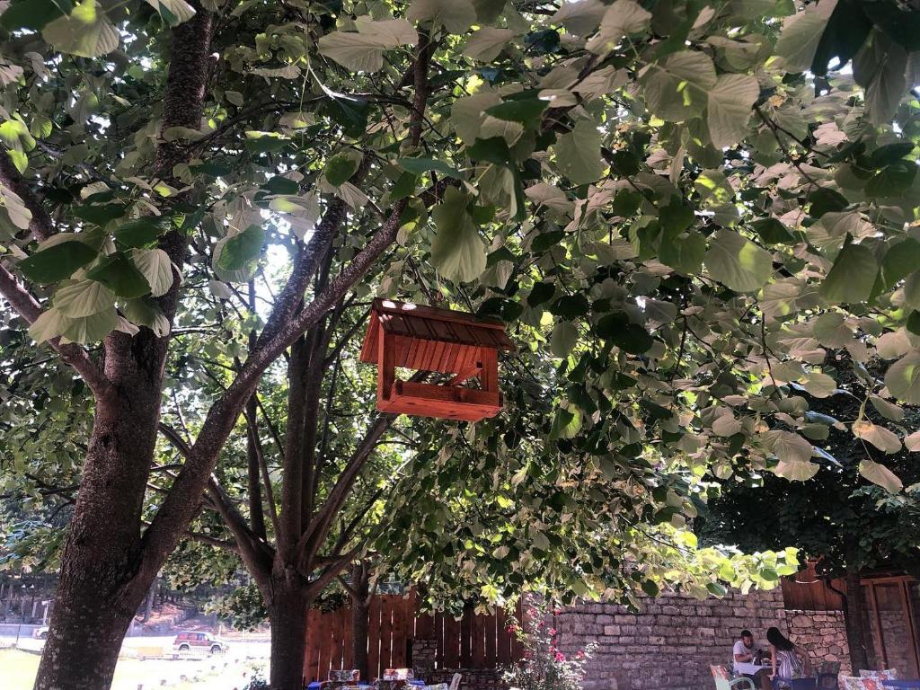 Zahrada ubytování Vila Pepaj Razem