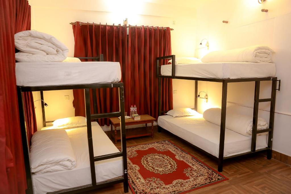 Rúm í herbergi á Pokhara Backpackers Hostel