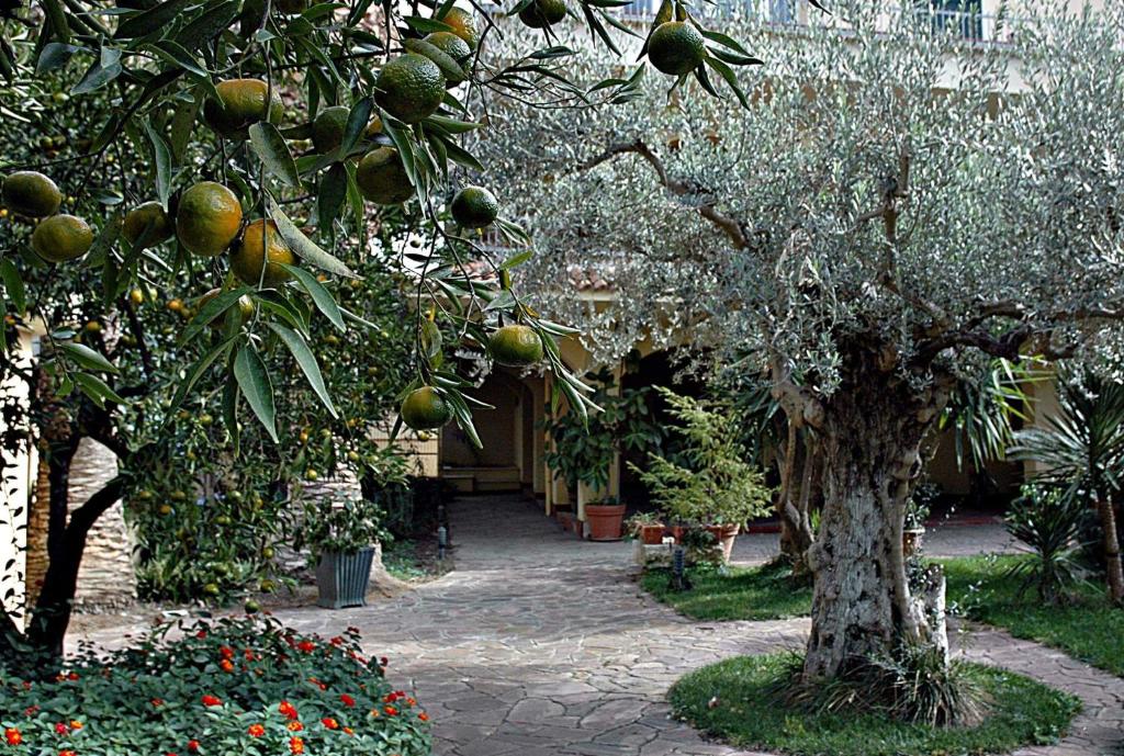 A garden outside Al Vecchio Pozzo