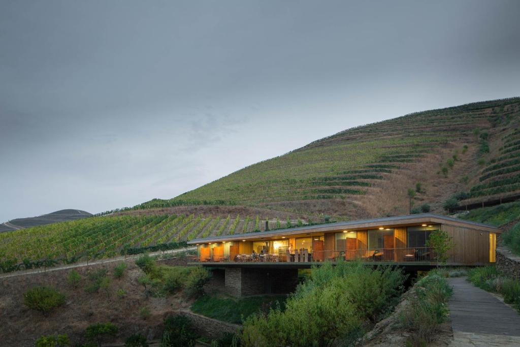 ein Haus inmitten eines Weinbergs in der Unterkunft Casa do Rio Wine Hotel - Vallado in Vila Nova de Foz Côa