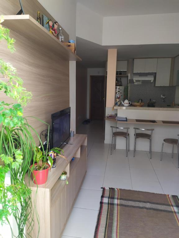 een woonkamer met een televisie en een keuken bij Quarto e Sala completo in Rio de Janeiro