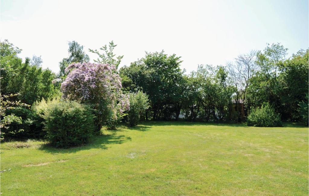 Zahrada ubytování Three-Bedroom Holiday Home In Jagerspris